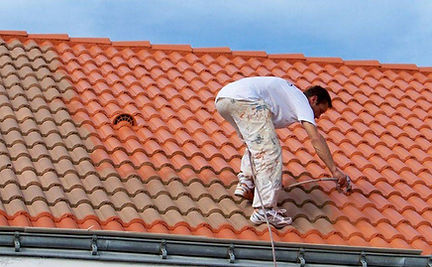 Traitement sur tuiles antimousse